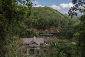 Das Hotel im Regenwald